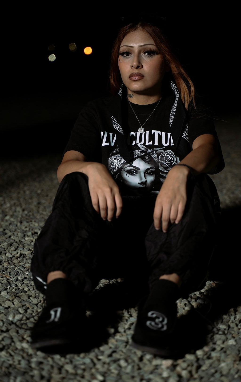 Blvd Cultura chicana
